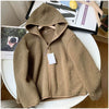 Nameria Faux Shearling Fleece Hooded Zip Jacket
