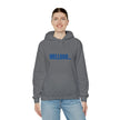 Gildan 18500 Unisex Hooded Sweatshirt | 