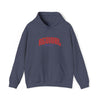 Gildan 18500 Unisex Heavy Blend Hooded Sweatshirt | 