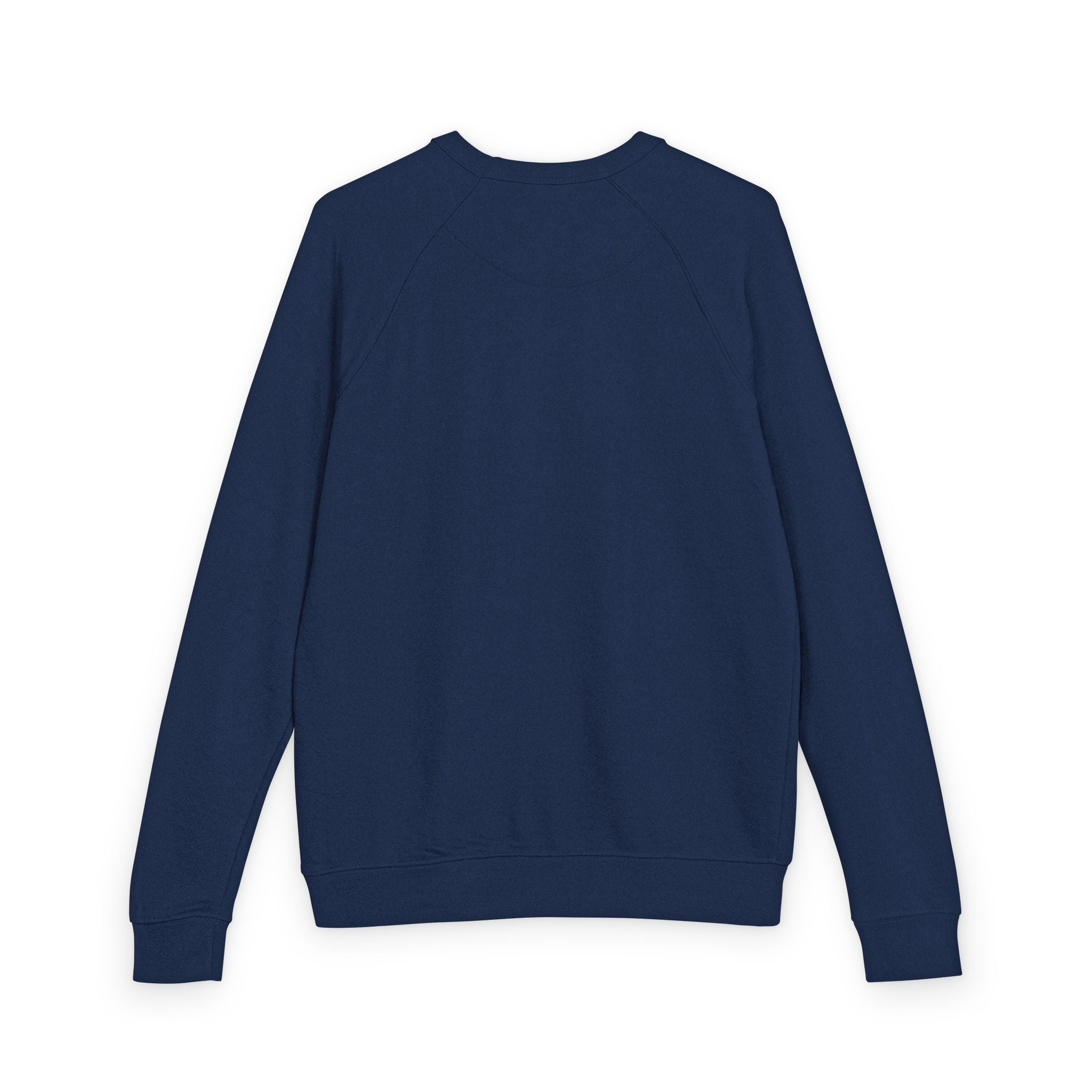 Lane Seven LS13004 Unisex Raglan Crewneck 