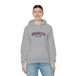 Gildan 18500 Unisex Heavy Blend Hoodie | 
