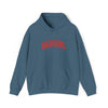 Gildan 18500 Unisex Heavy Blend Hooded Sweatshirt | 
