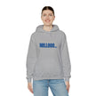 Gildan 18500 Unisex Hooded Sweatshirt | 