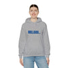 Gildan 18500 Unisex Hooded Sweatshirt | 