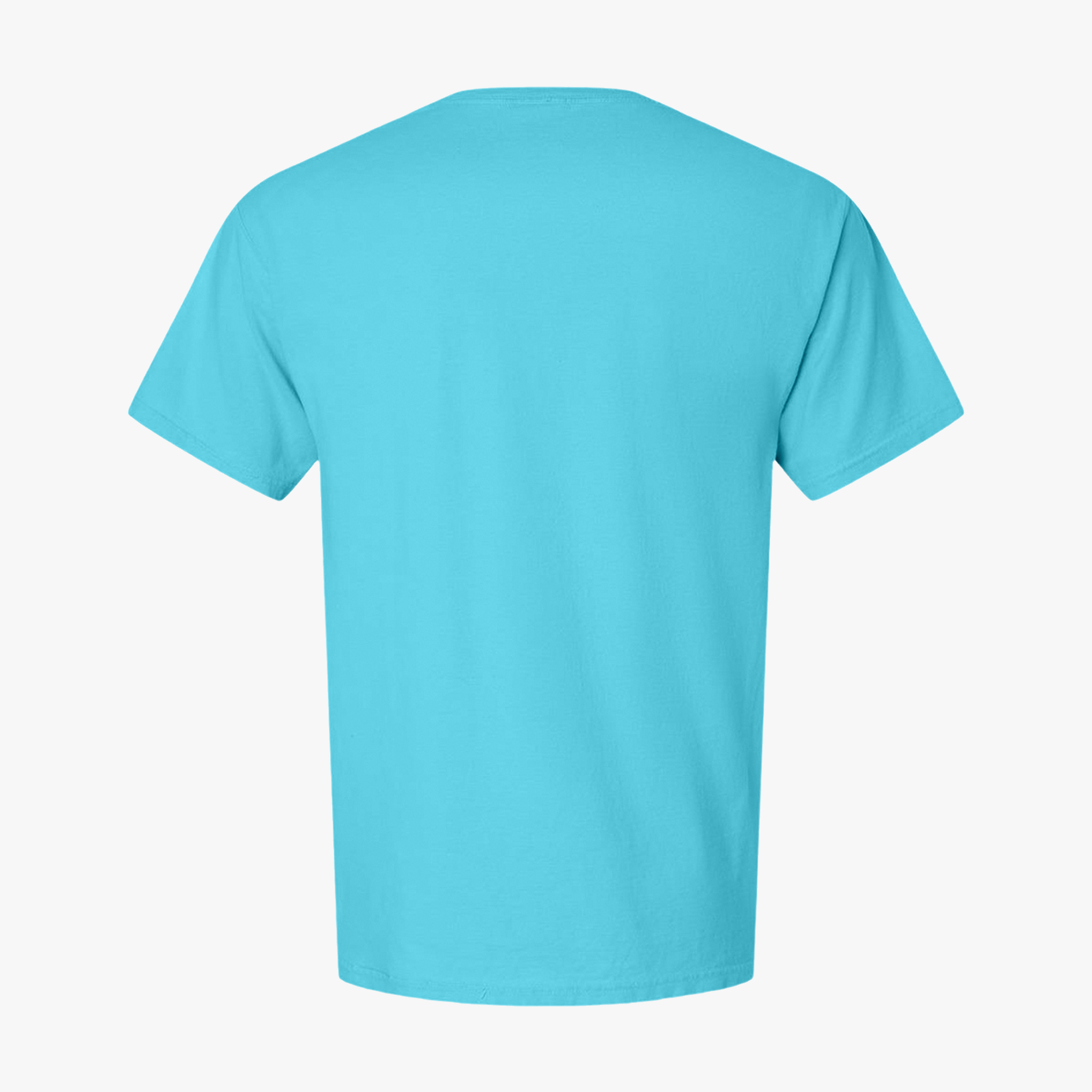 Customizable Hanes GDH00 Unisex Garment Dyed Cotton T Shirt