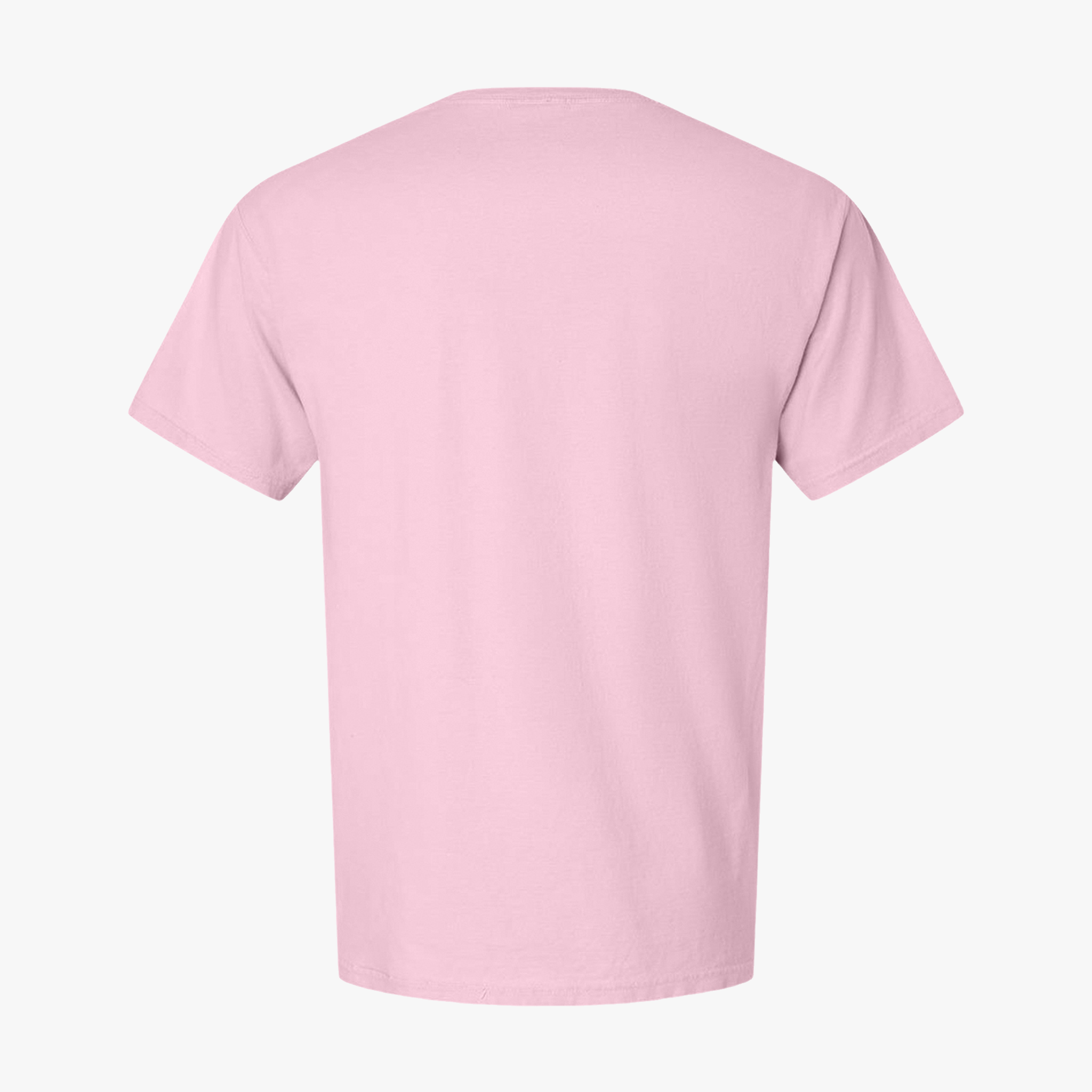 Customizable Hanes GDH00 Unisex Garment Dyed Cotton T Shirt
