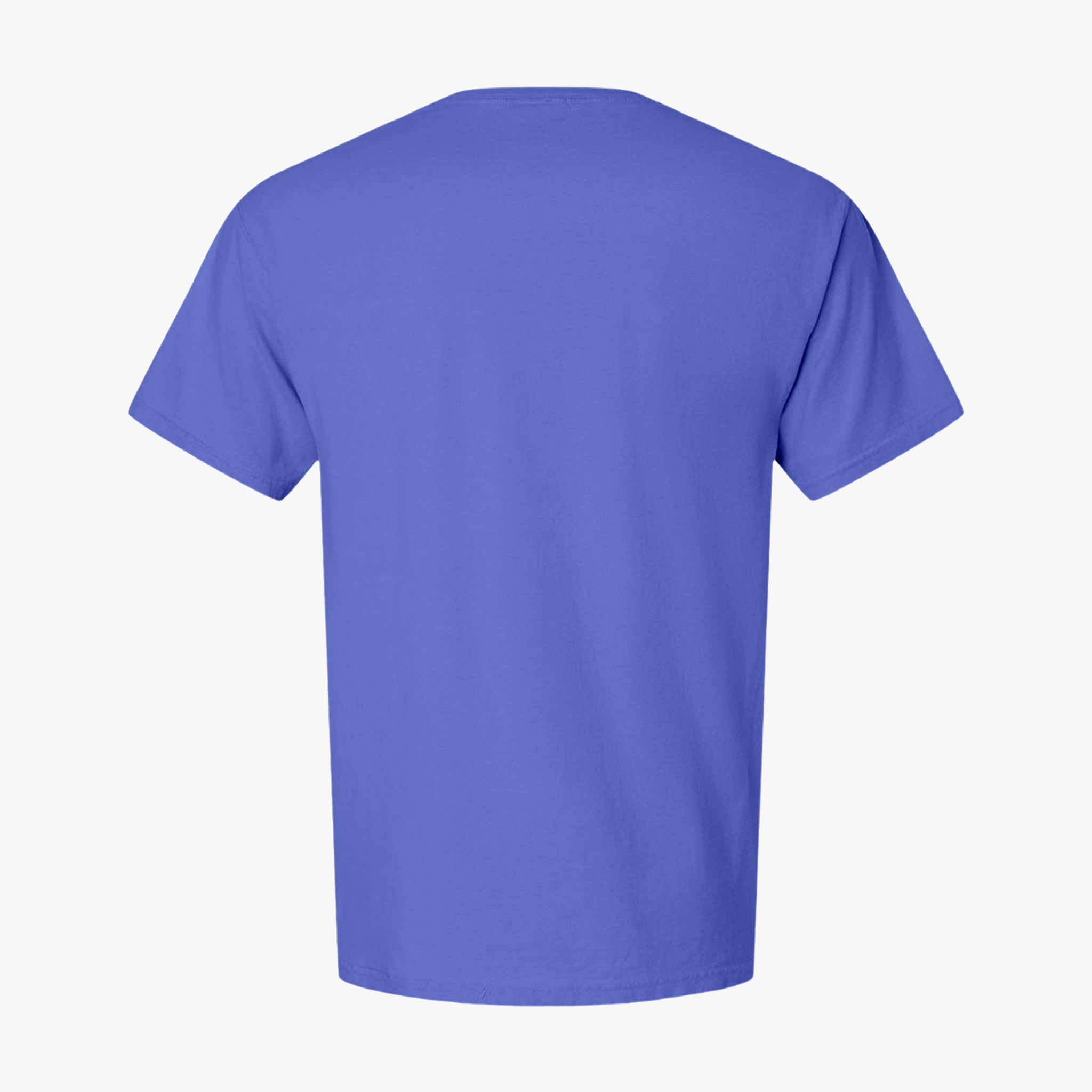 Customizable Hanes GDH00 Unisex Garment Dyed Cotton T Shirt