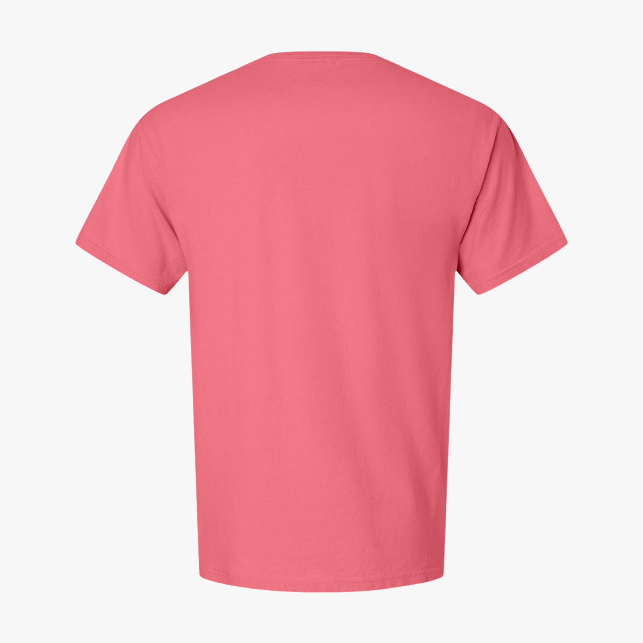 Customizable Hanes GDH00 Unisex Garment Dyed Cotton T Shirt