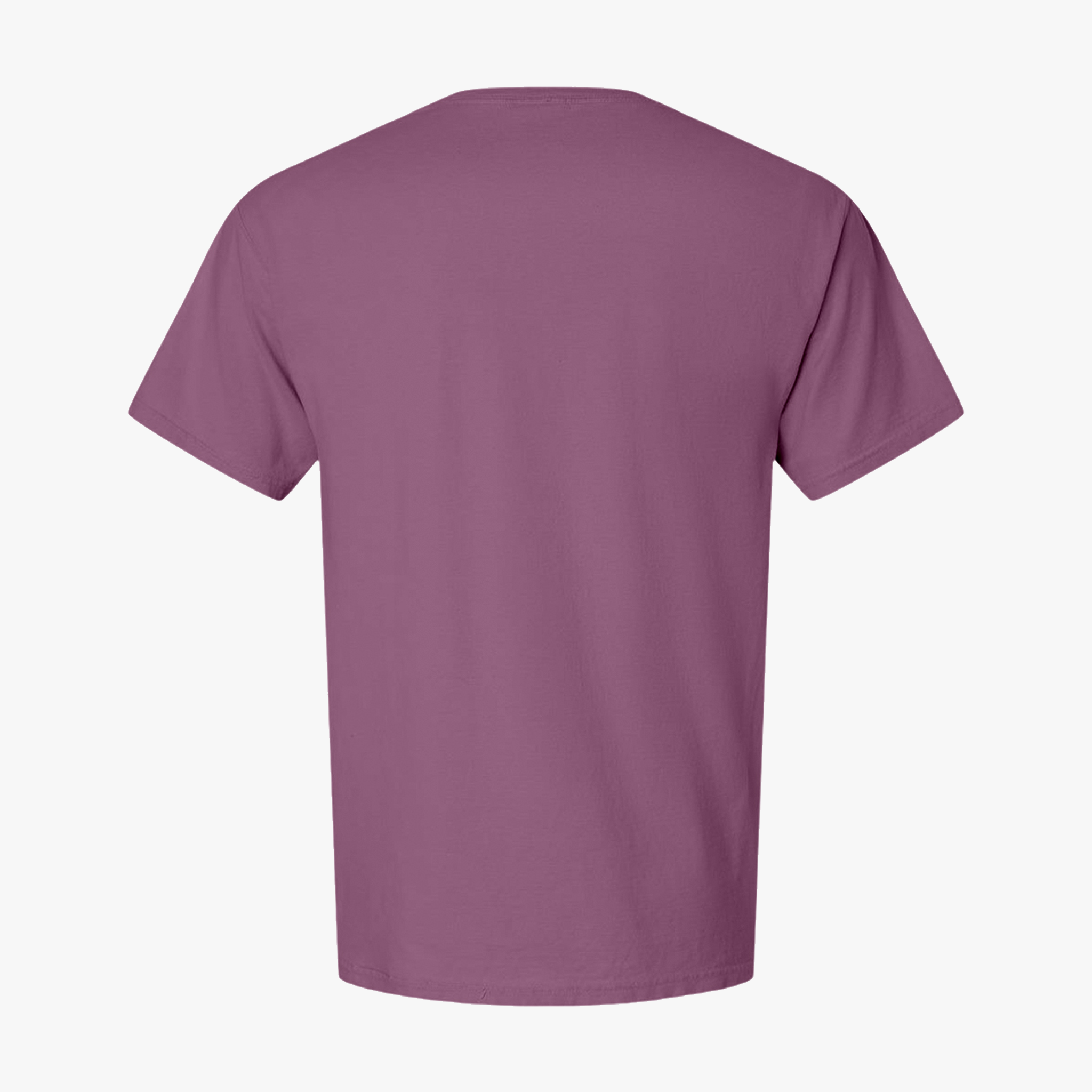 Customizable Hanes GDH00 Unisex Garment Dyed Cotton T Shirt