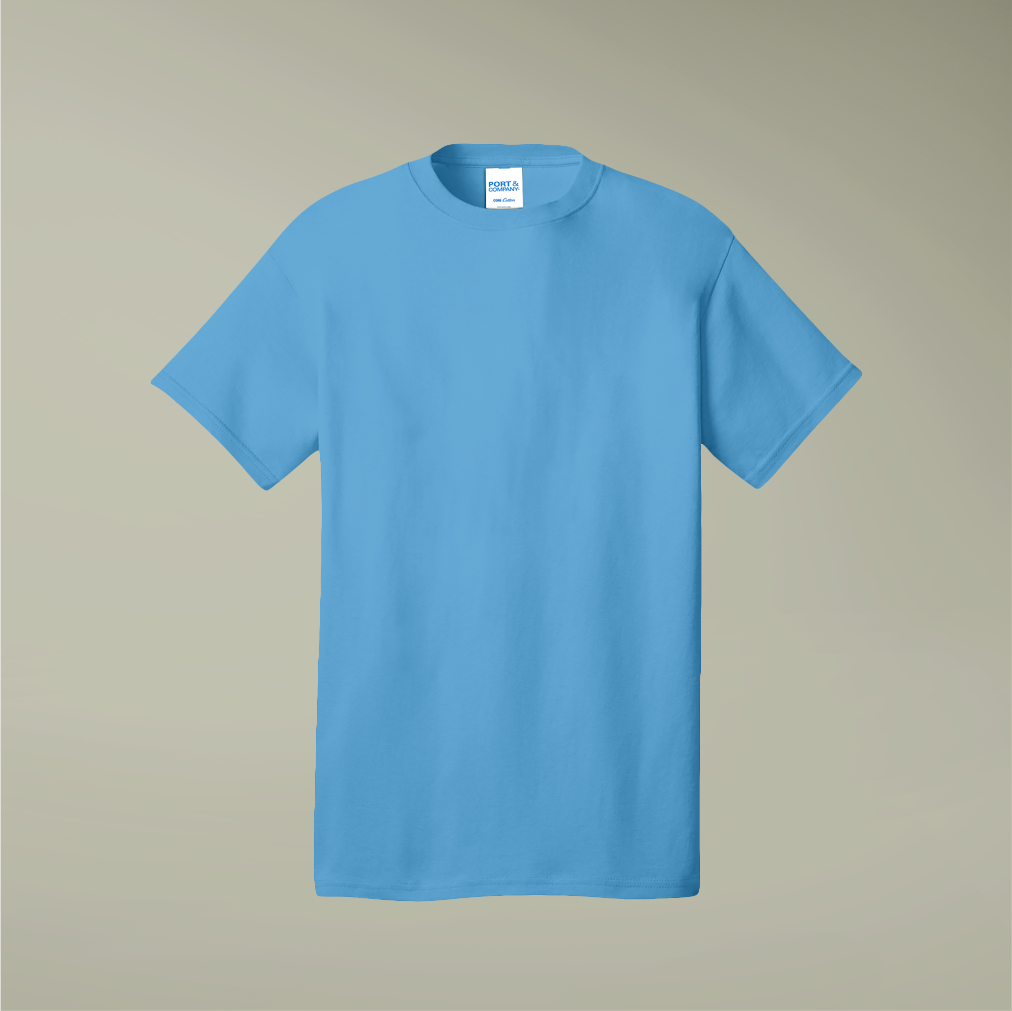 Customizable Port and Company PC54 Core Cotton Unisex T-Shirt