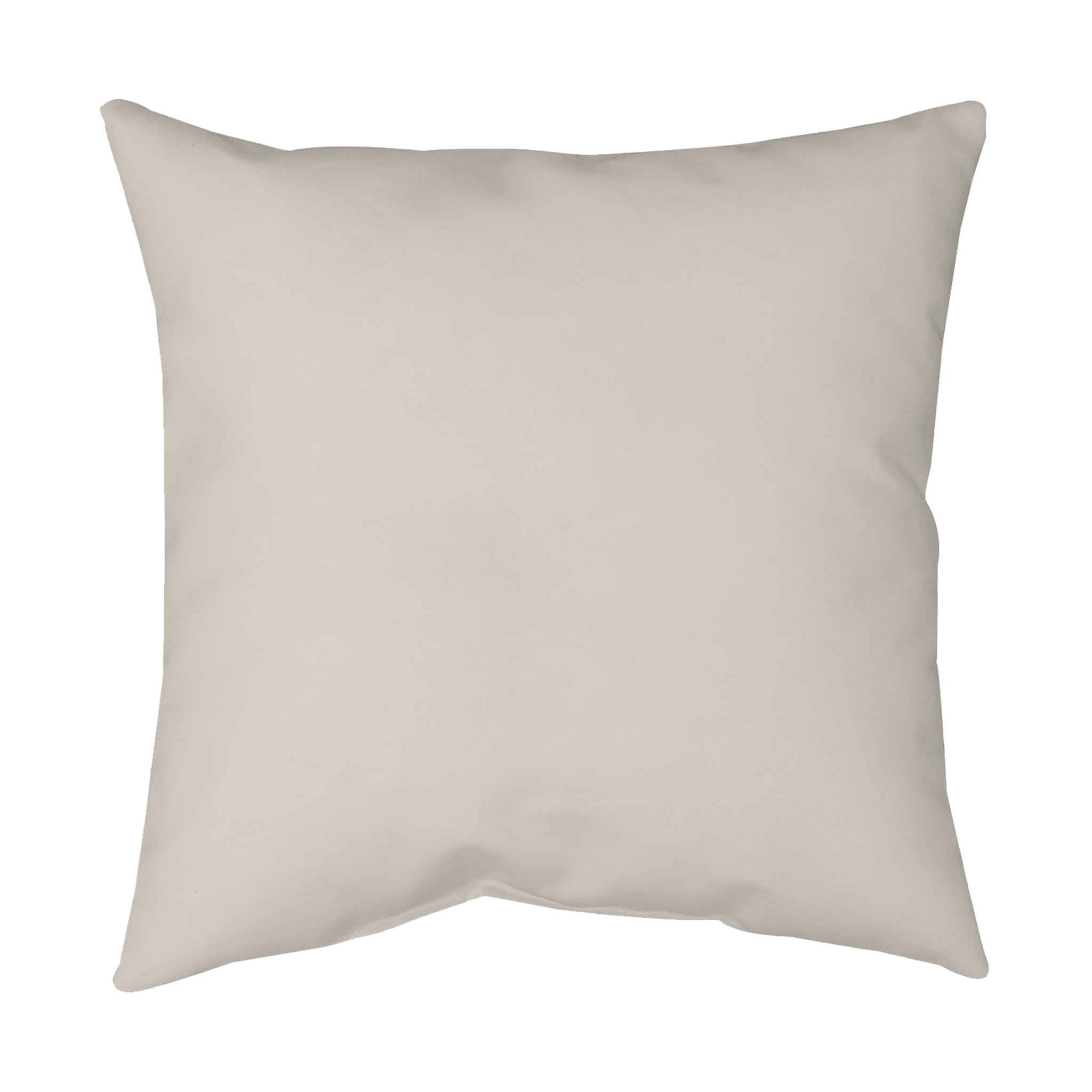 Customizable Poly Velvet Decorative Throw Pillow Cover with Zipper