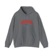 Gildan 18500 Unisex Heavy Blend Hooded Sweatshirt | 