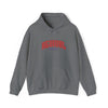 Gildan 18500 Unisex Heavy Blend Hooded Sweatshirt | 