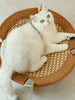2d06c64dacd94280abb1feb6c4401acc-Max-Origin