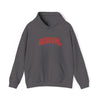 Gildan 18500 Unisex Heavy Blend Hooded Sweatshirt | 