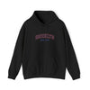 Gildan 18500 Unisex Heavy Blend Hoodie | 