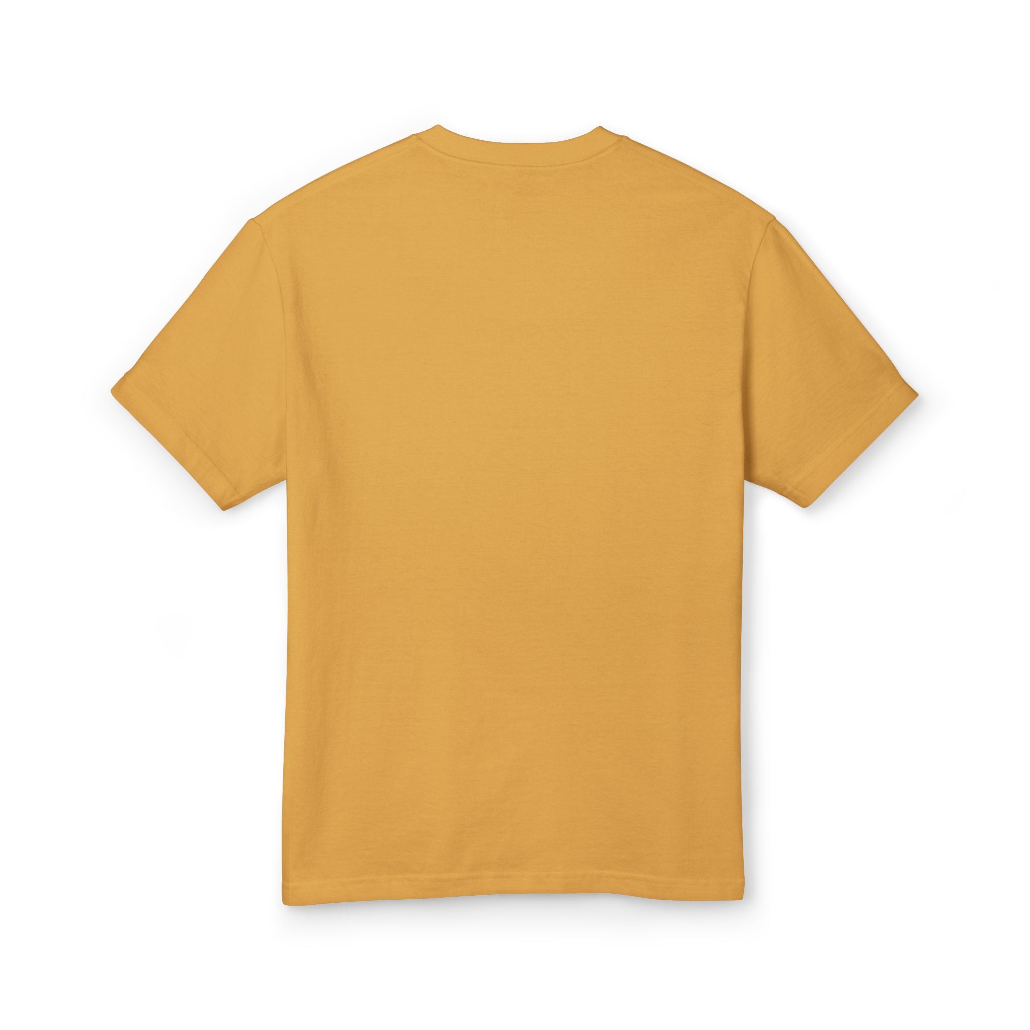 American Apparel 1301GD Unisex Tee 