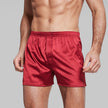Nameria Ice Silk Boxer Briefs Mid Waist Seamless Solid Color