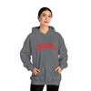 Gildan 18500 Unisex Heavy Blend Hooded Sweatshirt | 