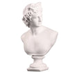 Nameria Classical Greek Bust Sculpture – Apollo Artemis Resin Home Decor