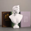 Nameria Classical Greek Bust Sculpture – Apollo Artemis Resin Home Decor