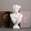 Nameria Classical Greek Bust Sculpture – Apollo Artemis Resin Home Decor