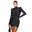 Nameria High Neck Long Sleeve Bodycon Mini Dress Ruched Knit