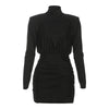Nameria High Neck Long Sleeve Bodycon Mini Dress Ruched Knit