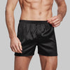 Nameria Ice Silk Boxer Briefs Mid Waist Seamless Solid Color