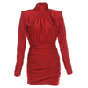 Nameria High Neck Long Sleeve Bodycon Mini Dress Ruched Knit